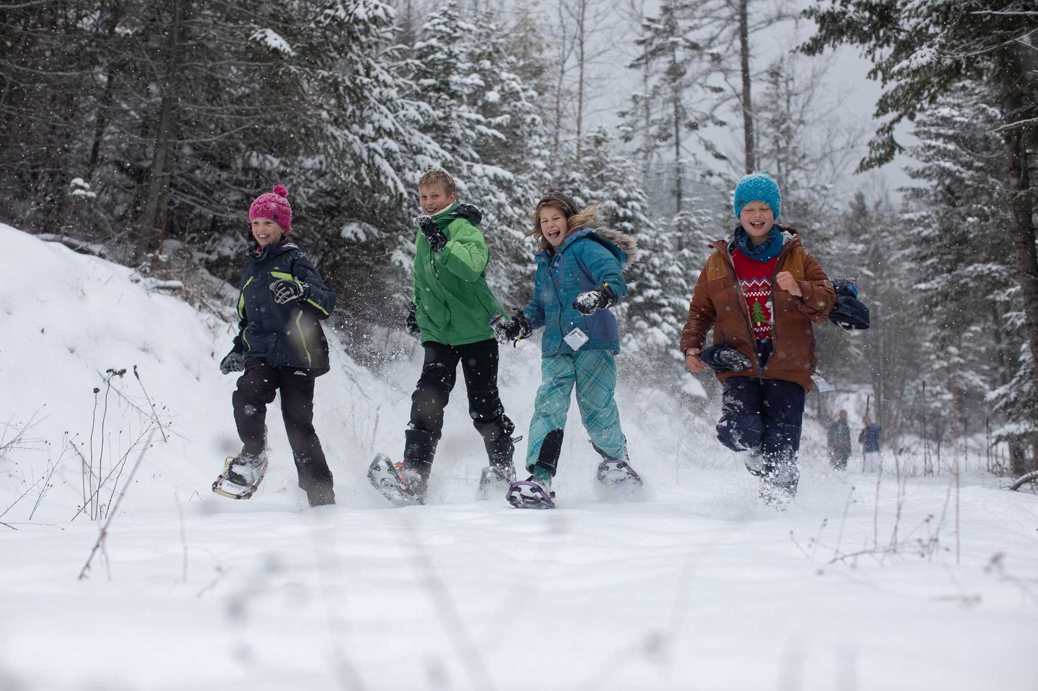 Round Lake State Park - Visit Sandpoint