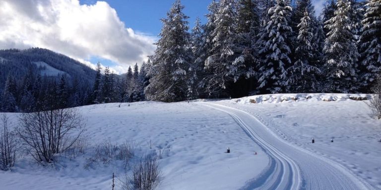 Priest Lake Nordic ski center snowy groomed cross-country skiing trail winter trees