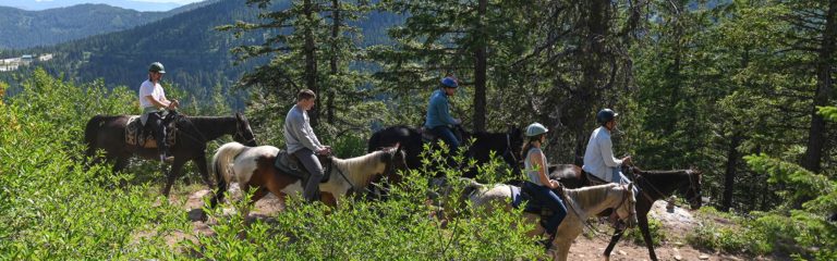 guided horseback riding through trails on Schweitzer with Mountain Horse Adventures