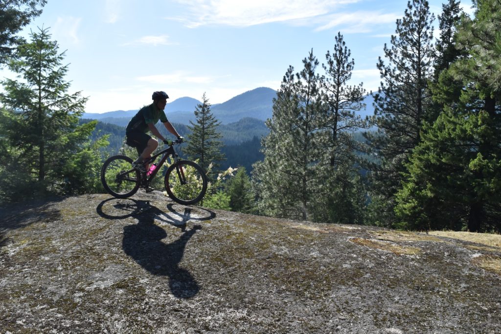Mountain biker at Pine Street Woods