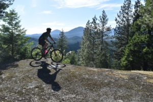 Mountain biker at Pine Street Woods