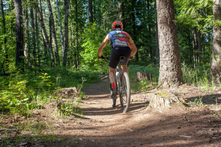 Pine Street Woods mountain biker