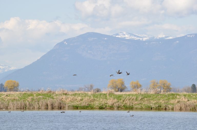 Kootenai National Wildlife Refuge