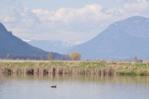 Kootenai National Wildlife Refuge