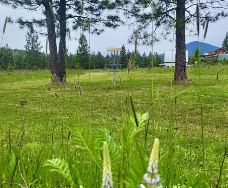 Baldfoot Disc Golf in Sandpoint Idaho