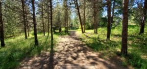 AWOL disc golf course at Farragut State Park